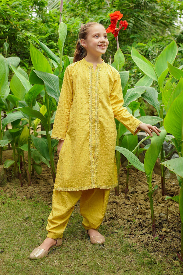 Ochre Clothing Cotton Broshia 2 Pc Suit Collection'2025