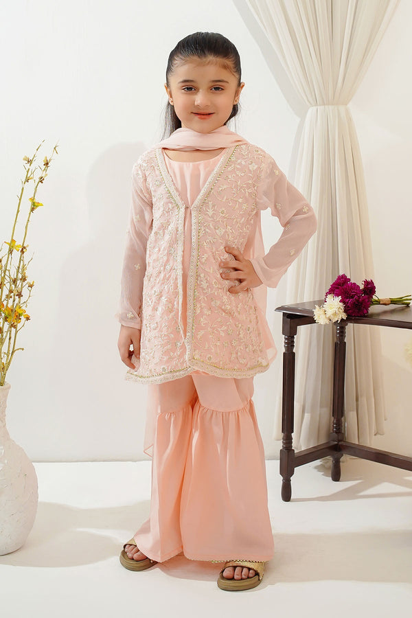 Ochre Clothing Toddlers Eastern Chiffon Embroidered 3 Pc Suit