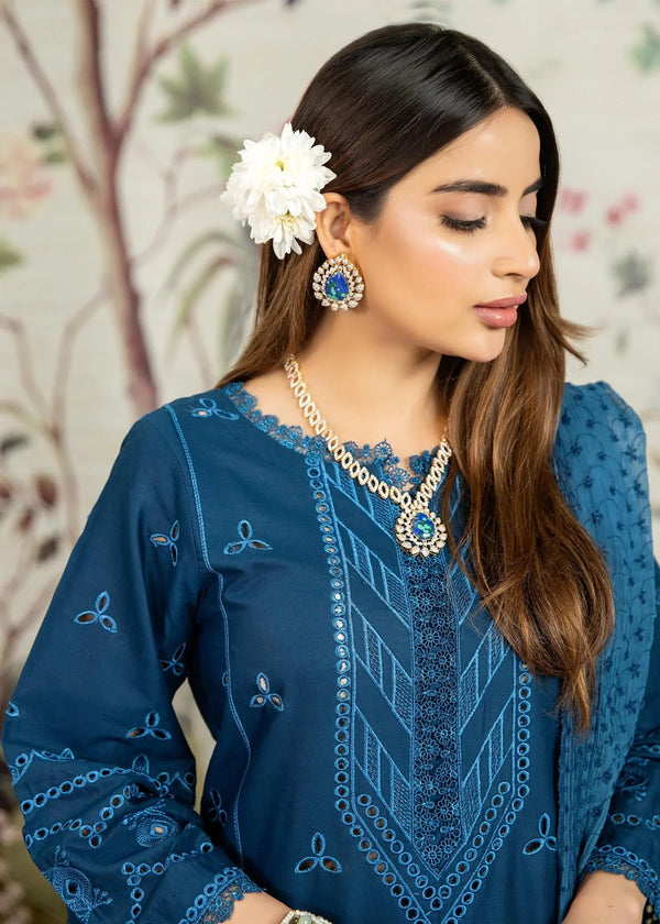 NK-Haseen Luxury ChikaNKari -NK-C2-03