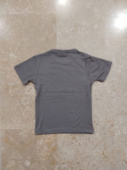 Grey Printed T-shirt for Boys